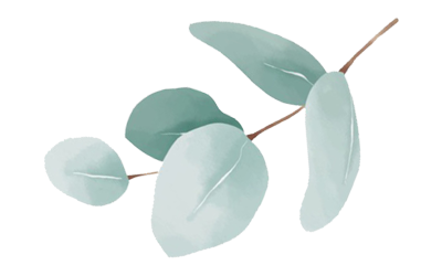 Eucalyptus_Leaves